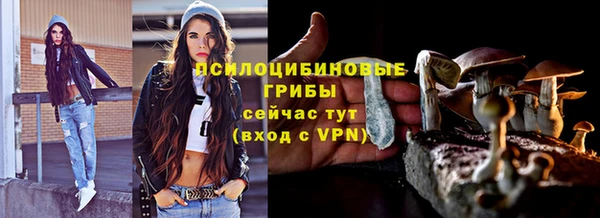 не бодяженный Алзамай